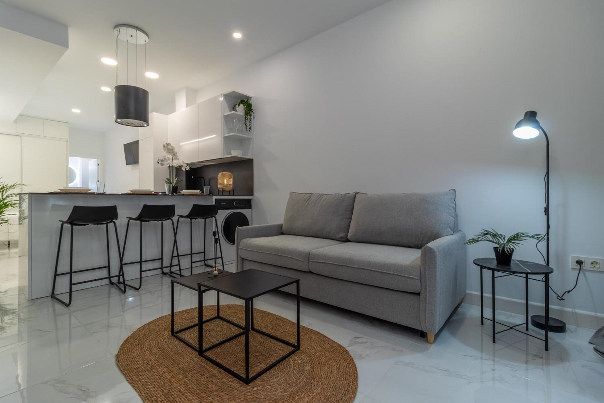 Loft Miguel Angel *