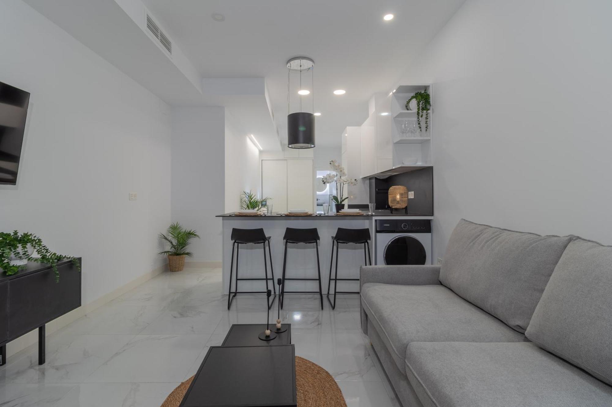 Loft Miguel Angel