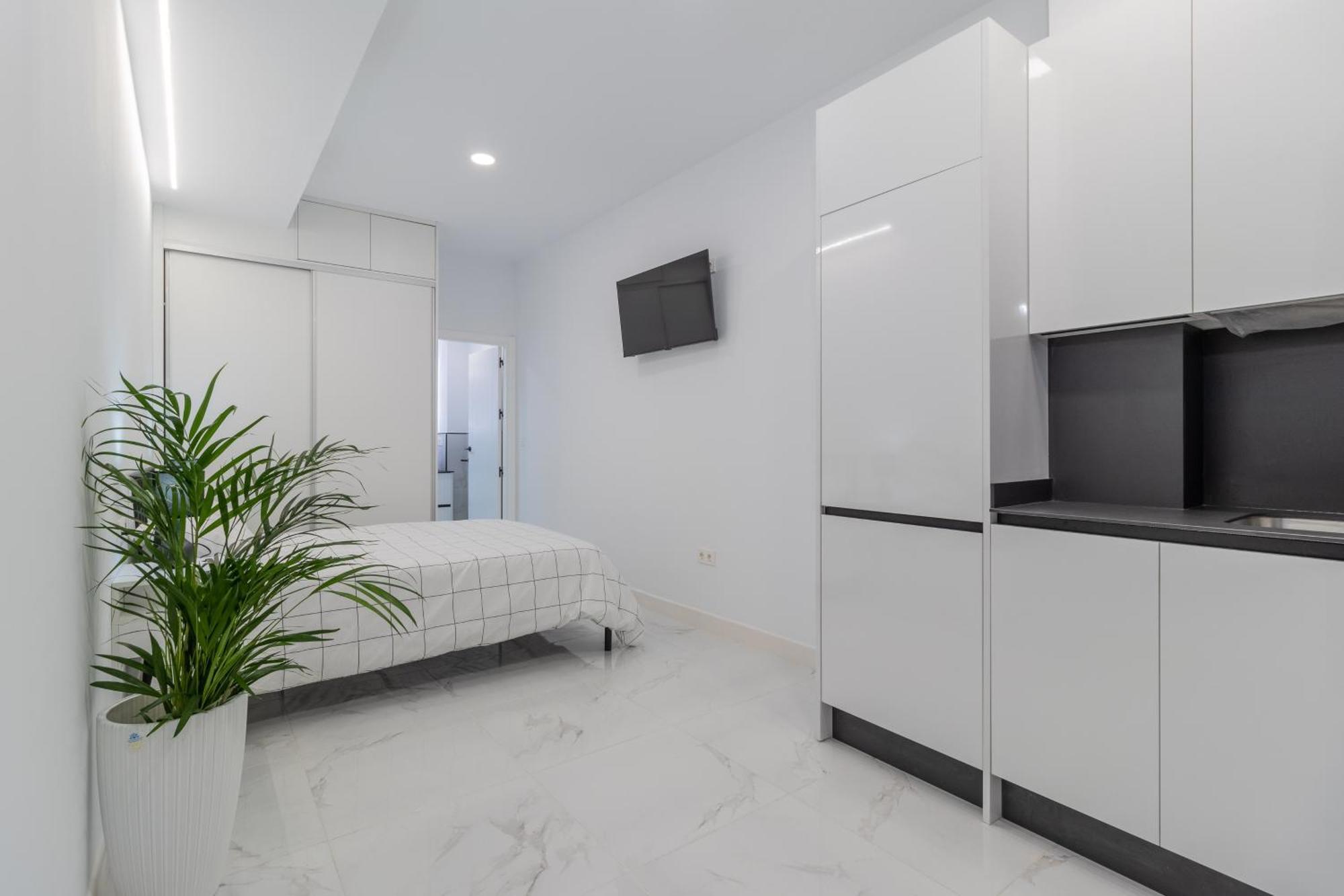 Apartamento Loft Miguel Angel *